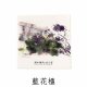 NYCU校園插畫吸水杯墊_四入組
